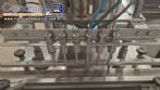 Envasadora linear 6 cilindros em inox Edwards
